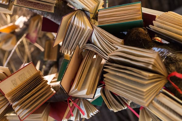 A number of open books are suspended in mid-air as if falling.