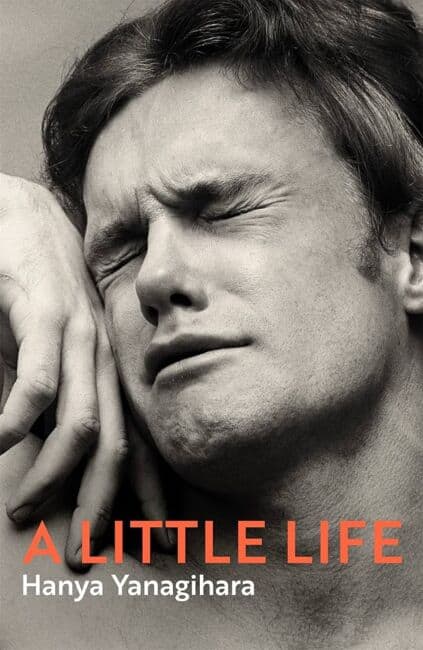 A little life book cover